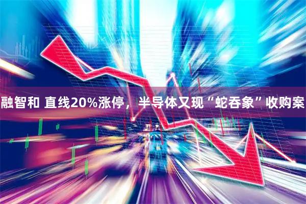 融智和 直线20%涨停，半导体又现“蛇吞象”收购案