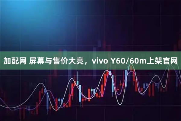 加配网 屏幕与售价大亮,vivo Y60/60m上架官网