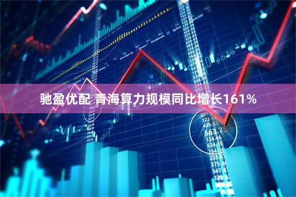 驰盈优配 青海算力规模同比增长161%