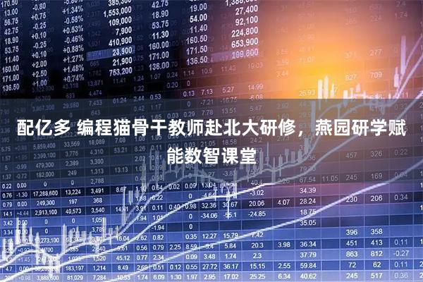 配亿多 编程猫骨干教师赴北大研修,燕园研学赋能数智课堂
